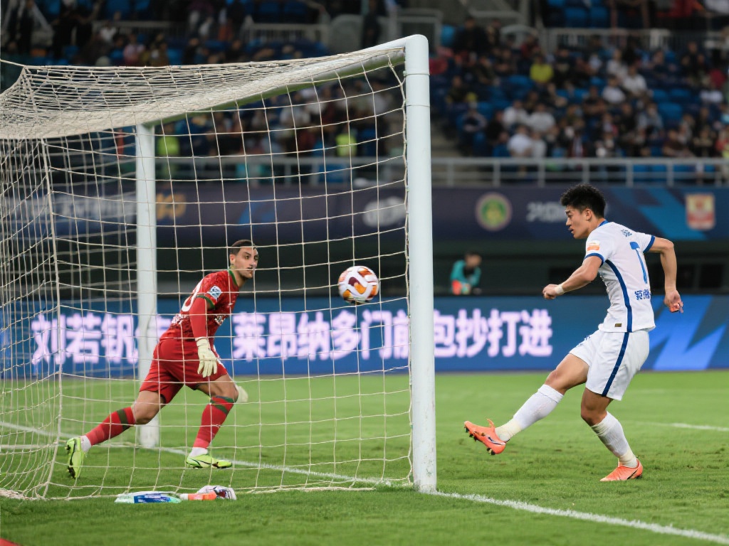 国际赛事的 国际赛事的